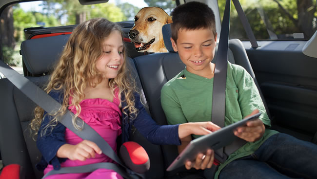 дети с собакой в машине